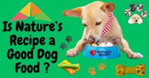 The image promotes the question, "Is Nature's Recipe a Good Dog Food?" and aims to highlight the brand's appeal, quality, and suitability for dogs by showcasing engaging visuals related to dog food and care.